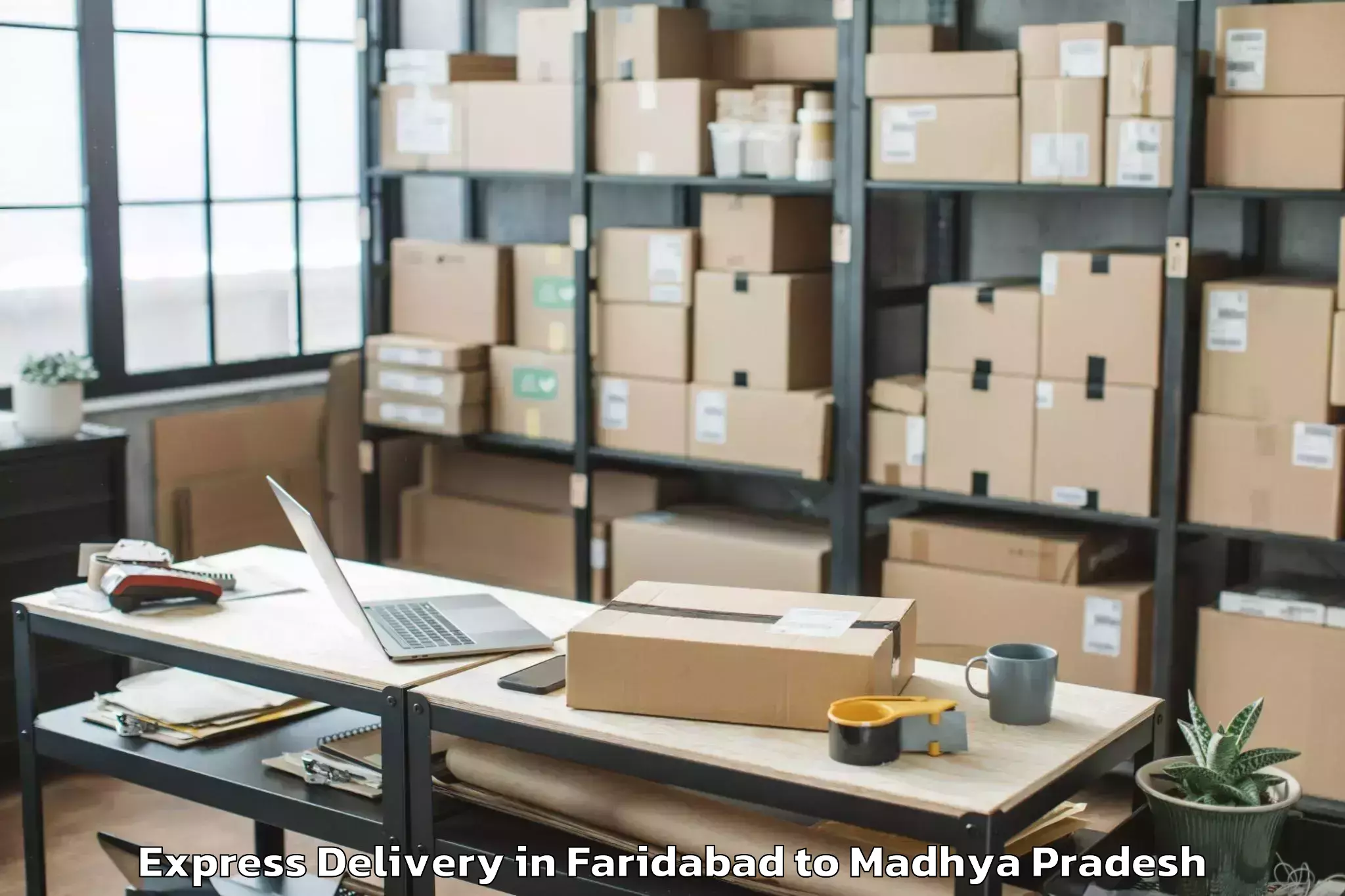 Quality Faridabad to Raghogarh Vijaypur Express Delivery